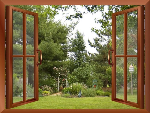 Garden backyard view from - garden/backyard,