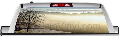 Rear window graphic view thru