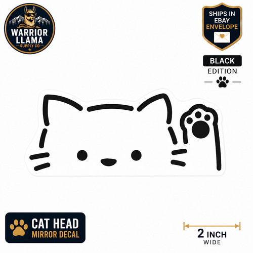 Black cat rear view mirror - rear,